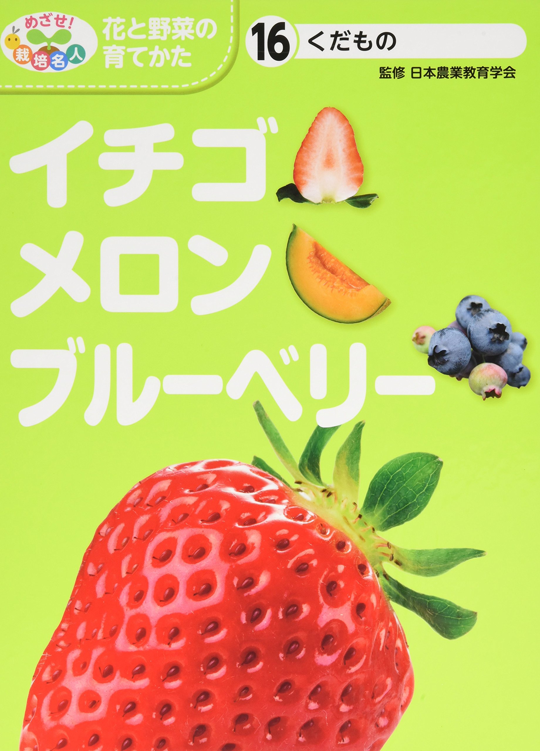 いちごメロン♪ページです。 81Q51RNgi+L.jpg